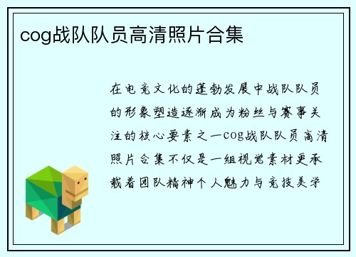 cog战队队员高清照片合集