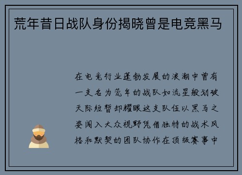 荒年昔日战队身份揭晓曾是电竞黑马
