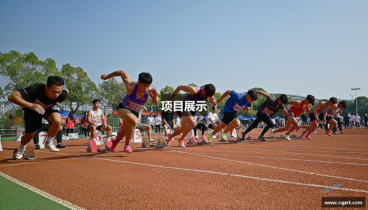 项目展示